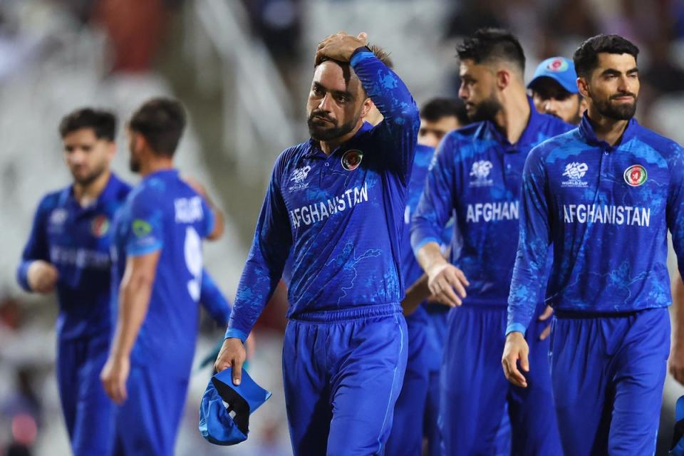 Defying expectations: Afghanistan had sprung a shock by reaching the T20 World Cup semi-finals (Getty Images)