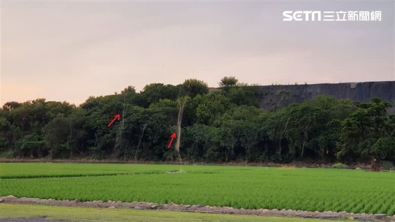 台中烏日田邊，去年也被拍到出現像「龍捲風」一般的蚊子群。（圖／翻攝自旺偉休閒航空俱樂部）