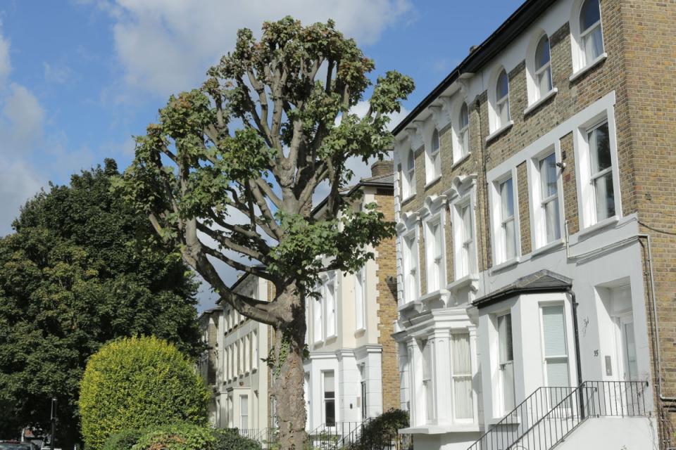 Residential houses near Ealing Broadway  (Matt Writtle)