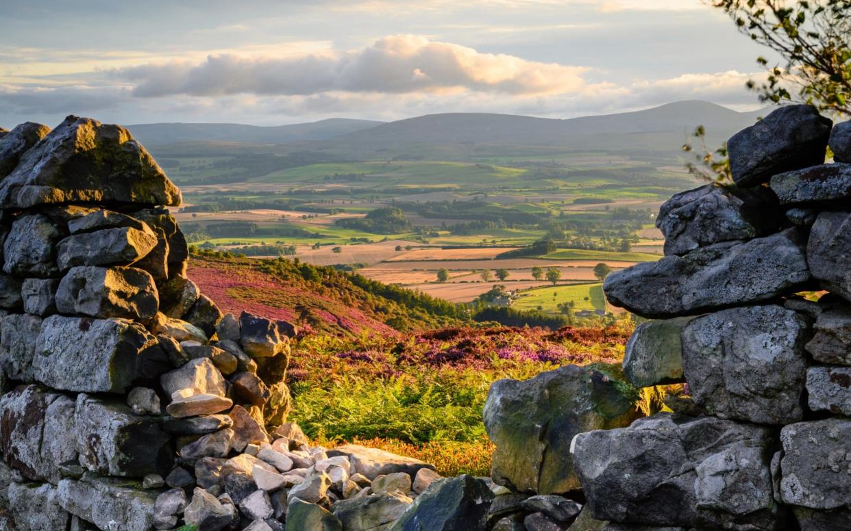 cheviot valley - Getty