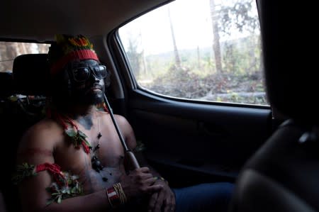 The Wider Image: Fighting fire with fire, Amazon 'forest guardians' stalk loggers