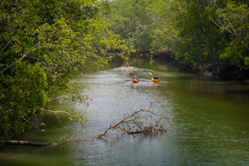 Kayaking is a new way to see Singapore. PHOTO: Gettyimages