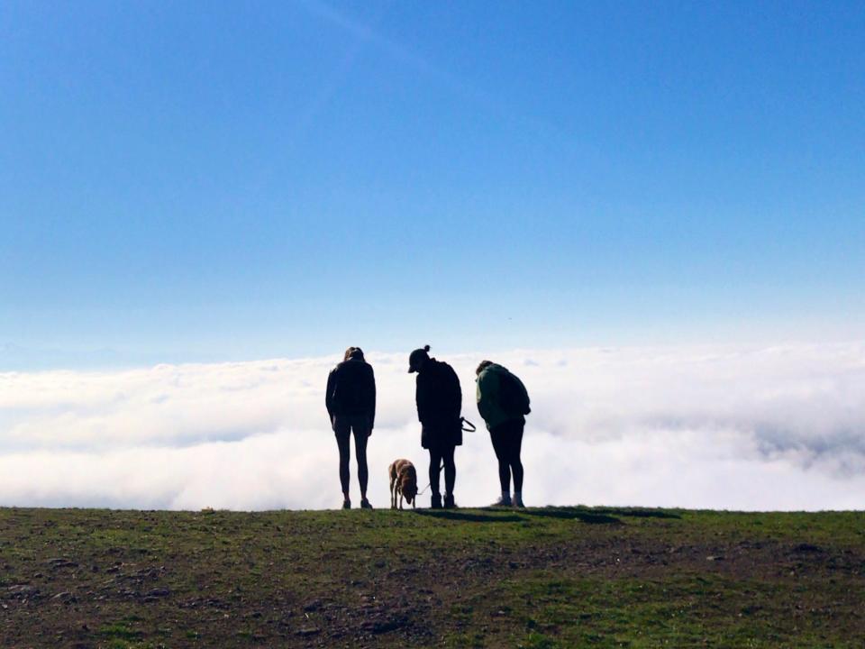 Several people standing on peak in washington with blue sky in background