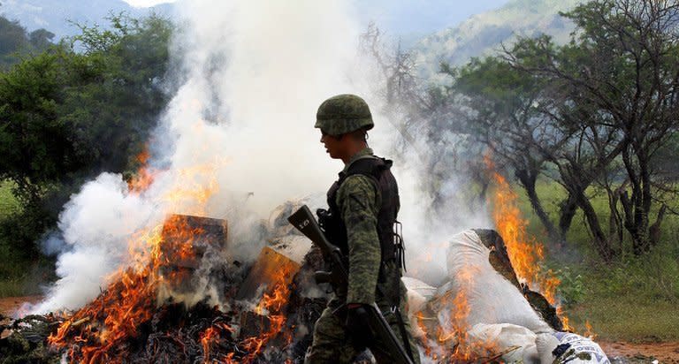 Mexican soldiers burn marijuana plants on September 27, 2012. The leader of the Gulf cartel was transferred Sunday to Mexico City for questioning after his capture near the northern border with the United States