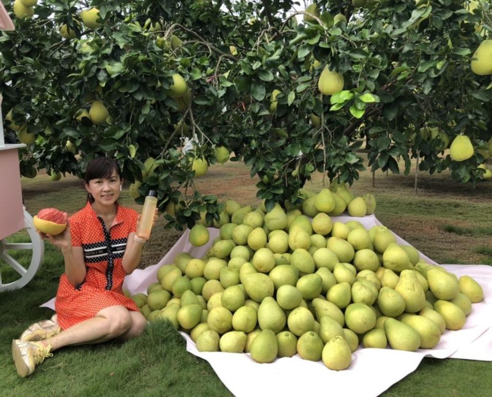 麻豆紅文旦採收上市，麻豆農會總幹事孫慈敏強調，中秋送禮自用兩相宜。(記者盧萍珊攝)