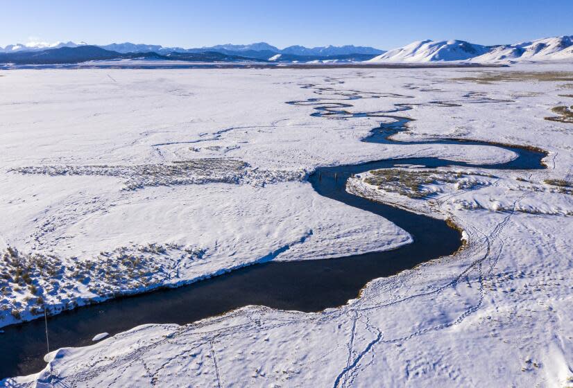 MAMMOTH LAKES, CA - FEBRUARY 03: The Owens River courses through Long Valley, still covered with snow from a January storm on Wednesday, Feb. 3, 2021 in Mammoth Lakes, CA. (Brian van der Brug / Los Angeles Times)