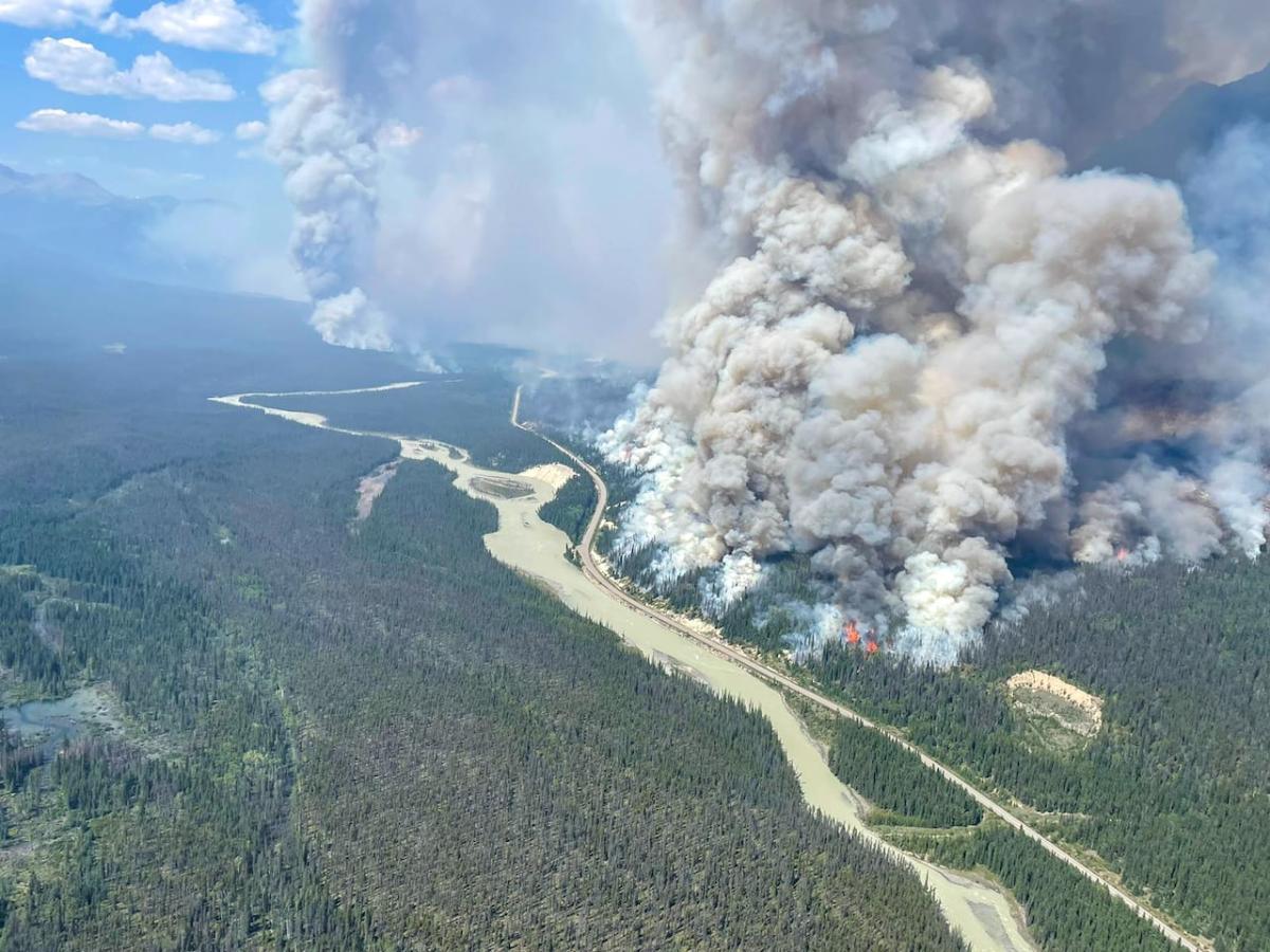 Alberta firefighter fatally injured by falling tree while battling forest fire in Jasper area