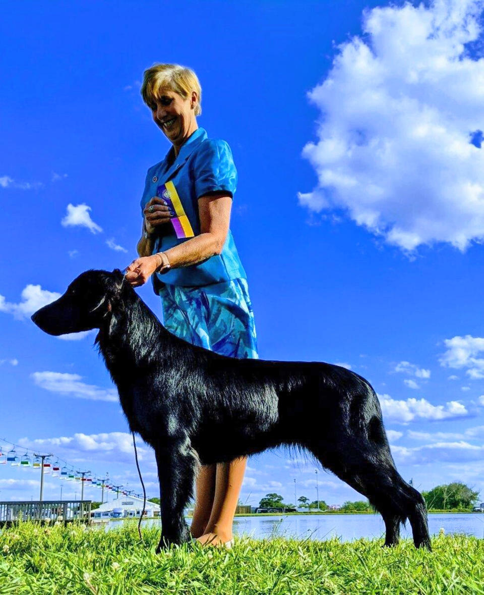 In this image provided by Renee Rosamilla, Tildy, a flat-coated retriever, poses with Rosamilla in Perry, Ga. Tildy is set to compete at the upcoming Westminster Kennel Club dog show, which has undergone many changes this year because of the coronavirus pandemic. (Courtesy Renee Rosamilia via AP)