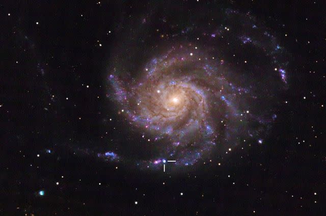 <p>Florian Runger / Wikimedia Commons / CC 4.0</p> The new supernova in the Pinwheel Galaxy