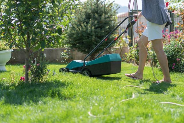 electric-lawn-mowers-4-ways-to-get-discounts-and-rebates