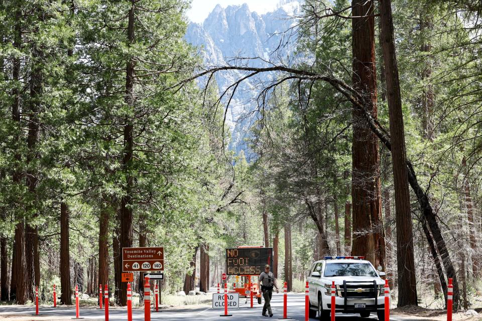 A park ranger keeps watch at a checkpoint for a road closed in Yosemite Valley.