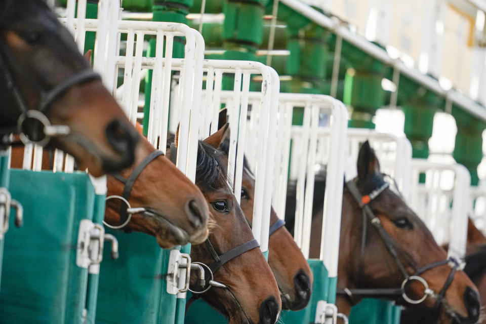 A general view as runners leave the stalls in The Get Your Ladbrokes Daily Odds Boost Novice Median Auction Stakes at Lingfield Racecourse. Picture date: Friday February 5, 2021.