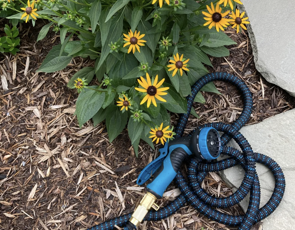 Garden Hose