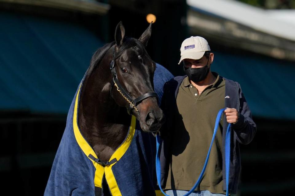 Kentucky Derby winner Medina Spirit is walked to be groomed after a morning exercise at Pimlico Race Course ahead of the Preakness Stakes on May 11, 2021, in Baltimore. Medina Spirit died at Santa Anita in December.