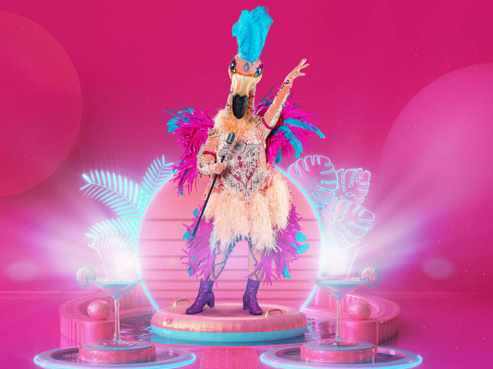 Der Flamingo tritt bei "The Masked Singer" an (Bild: ProSieben/Willi Weber)