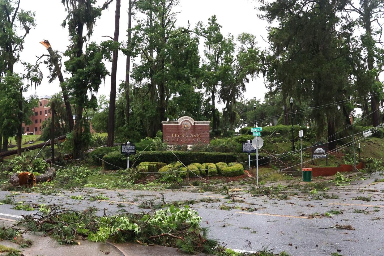 Downed trees and powerlines were in front of FAMU after severe storms and a tornado hit Tallahassee Friday morning.