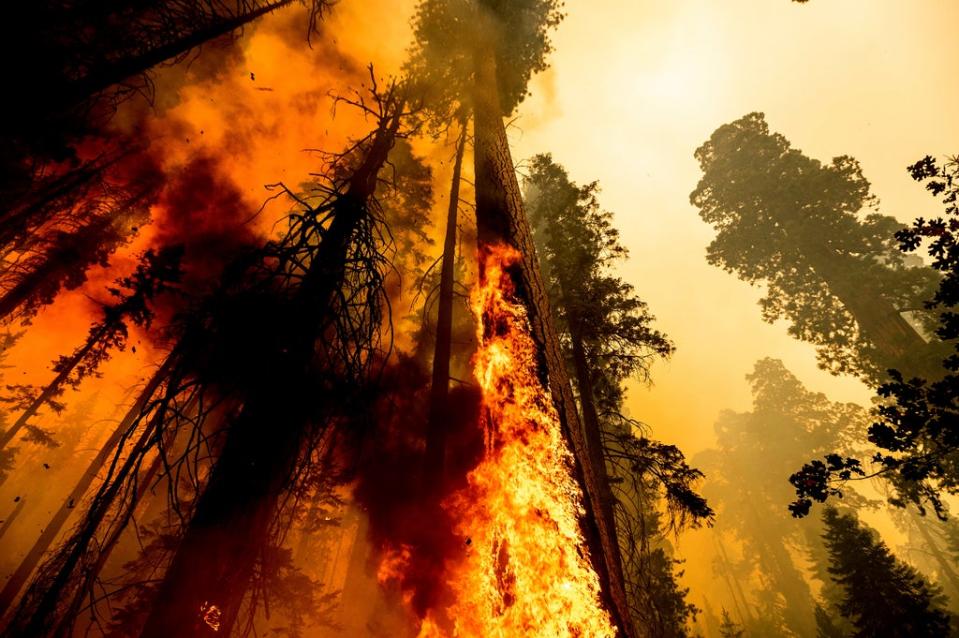 Western Wildfires (ASSOCIATED PRESS)