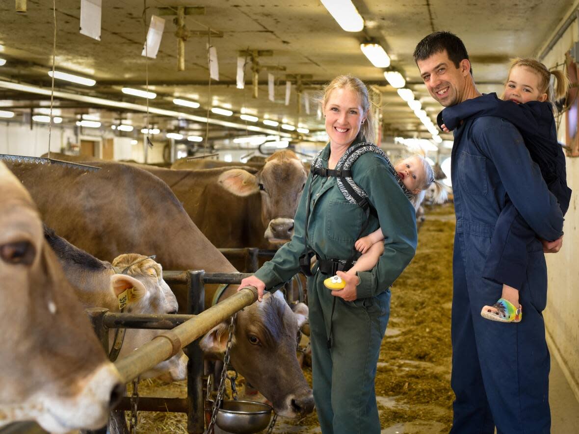Paige and Marcus Dueck are taking precautions on their farm to keep H5N1 away from their brown Swiss cows. (Submitted by Marcus Dueck - image credit)