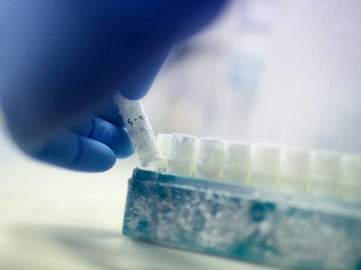 A scientist picks up a vial of frozen donor sperm.