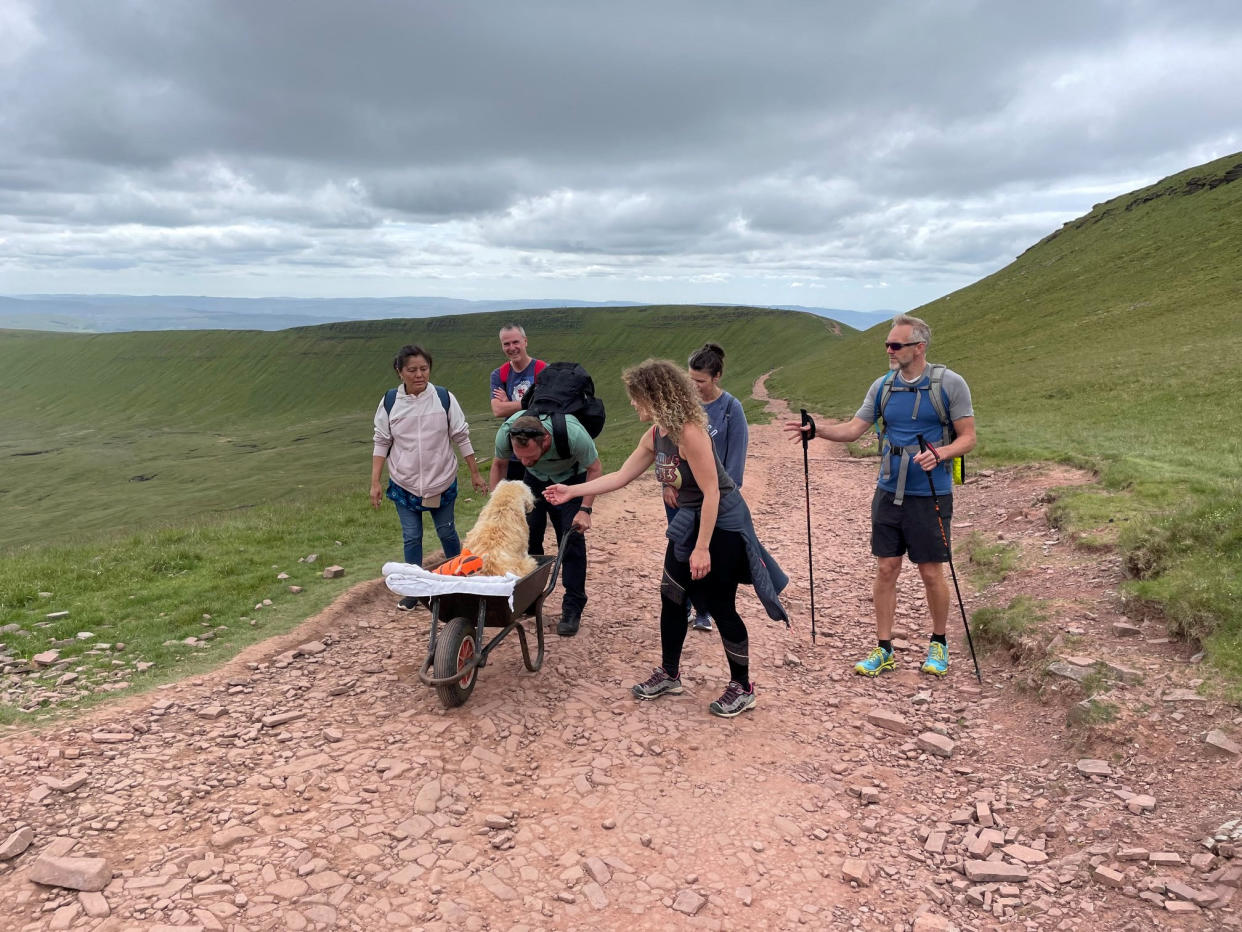 The pair had visited the Brecon Beacons many times over the years - and have even summited the three peaks. (SWNS)