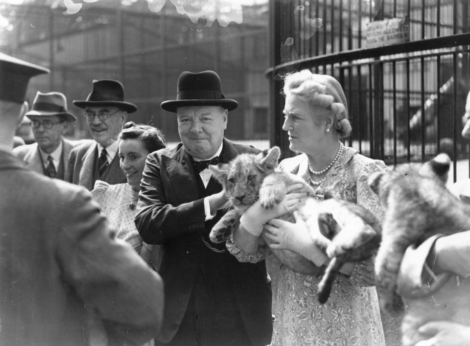 Auch Winston Churchill hatte eine Ader für Tiere, wie einige Bilder beweisen. Bei einem Besuch im Zoo durfte der damalige Premierminister einen Baby-Löwen streicheln. (Bild: Topical Press Agency/Getty Images)