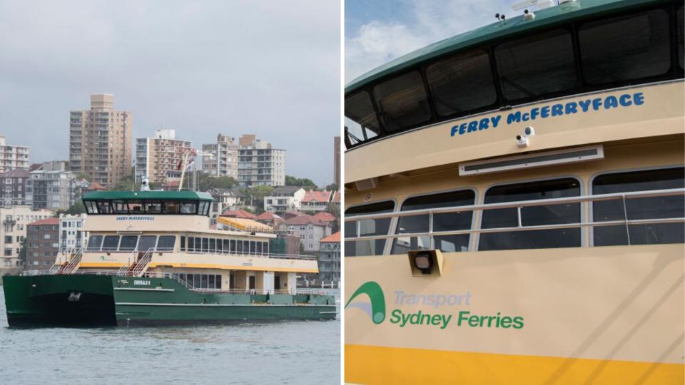 Sydney ferry May Gibbs, formerly known as Ferry McFerryface, cruising on Sydney harbour.