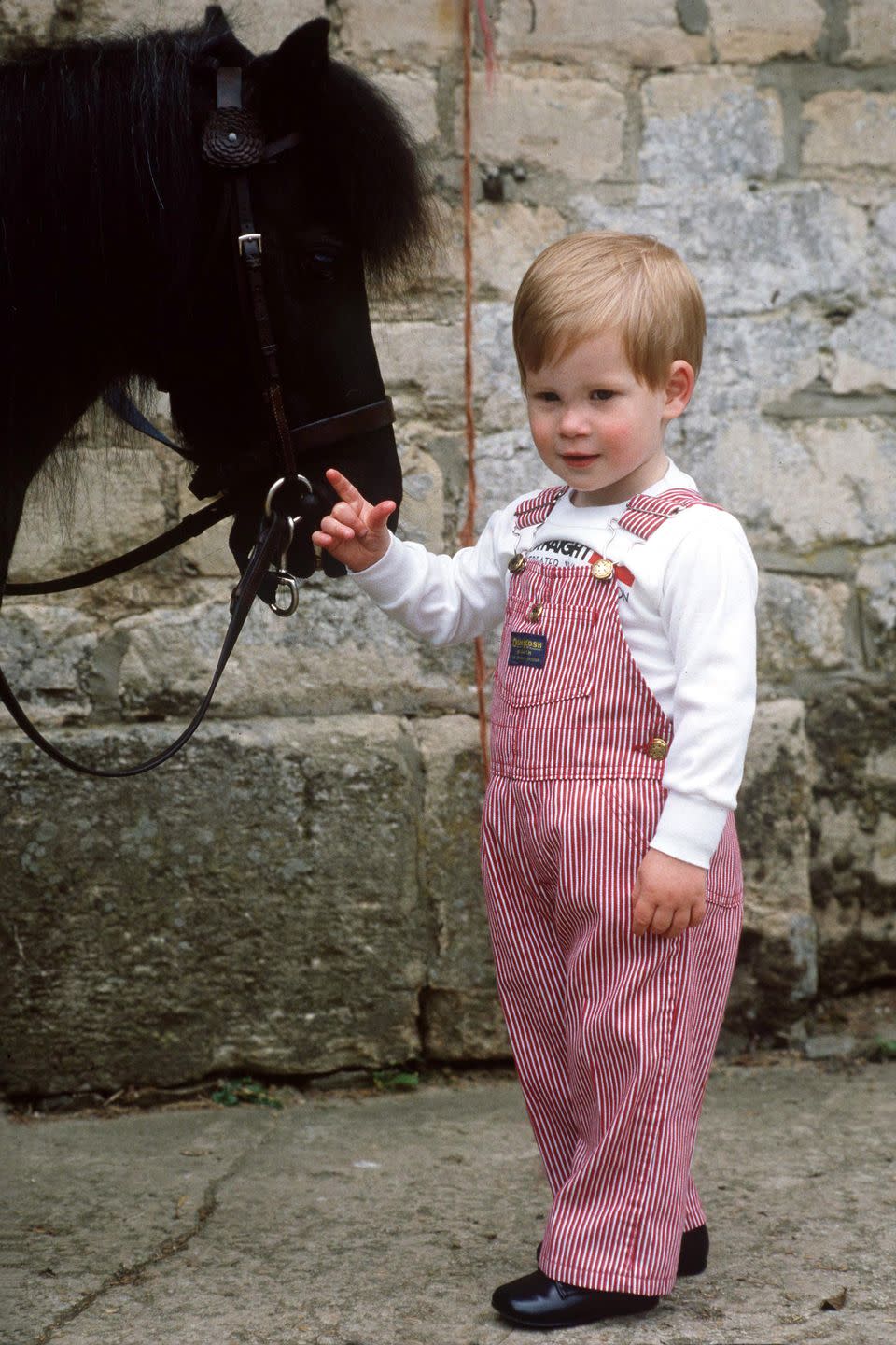 <p>Harry stands next to his pony, Smokey, at Highgrove House. </p>