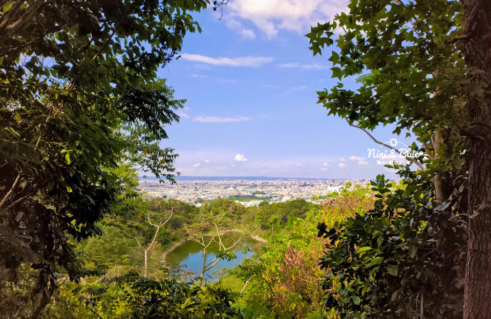 台中太平登山步道｜咬人狗坑生態景觀步道