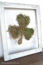 <p>We love the vintage look of this moss design inside a white frame.</p><p><strong>Get the tutorial at <a href="http://stowandtellu.com/diy-framed-moss-shamrock-on-glass/" rel="nofollow noopener" target="_blank" data-ylk="slk:StowandTellU" class="link ">StowandTellU</a>.</strong></p><p><a class="link " href="https://www.amazon.com/Galápagos-05213-Terrarium-Sphagnum-Natural/dp/B00KZDT346/ref=sxin_9_ac_d_rm?tag=syn-yahoo-20&ascsubtag=%5Bartid%7C10050.g.4036%5Bsrc%7Cyahoo-us" rel="nofollow noopener" target="_blank" data-ylk="slk:SHOP MOSS">SHOP MOSS</a></p>