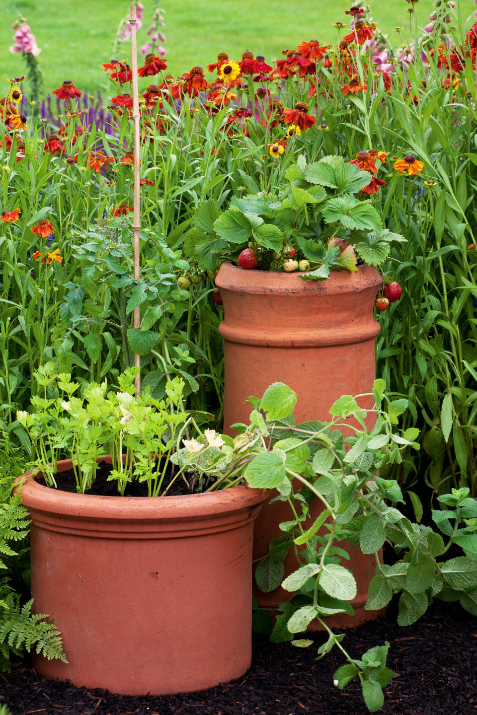 POSITION POTS AMONG THE FLOWERS