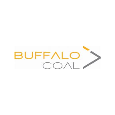 Buffalo Coal Announces Annual General and Special Meeting Results