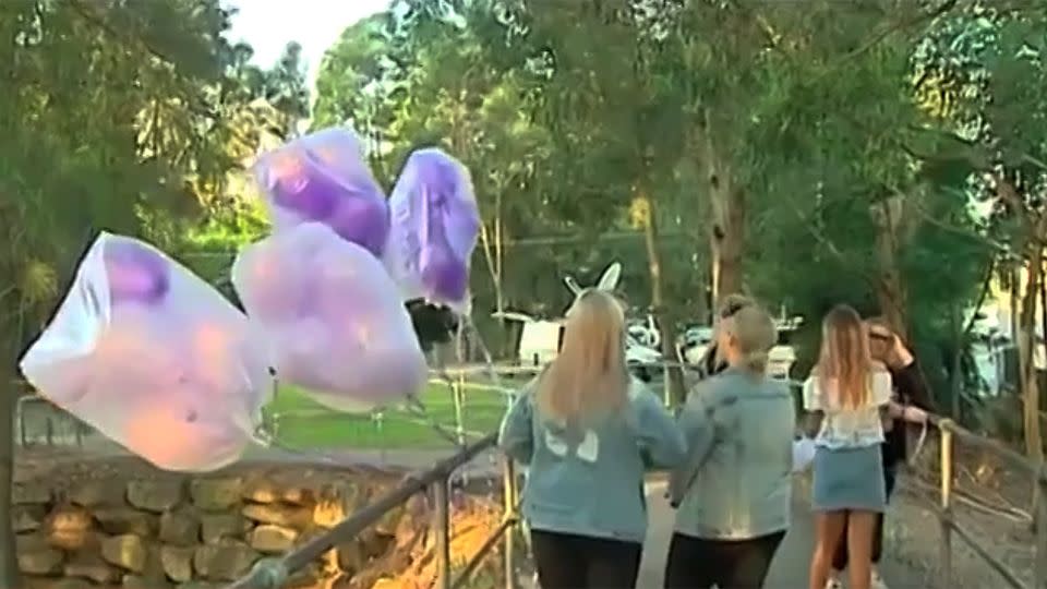 Friends and family released balloons along the Georges River in memory Brayden. Source: 7 News