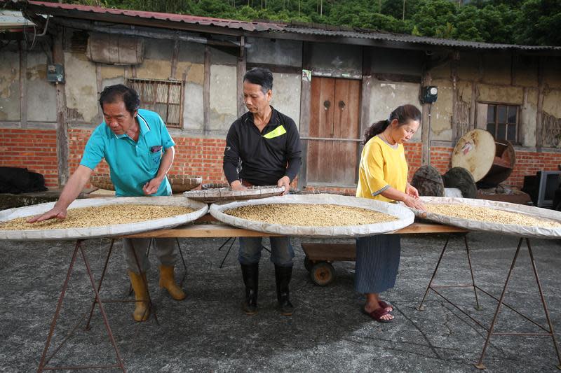 助王中和（中）拿下冠軍的咖啡豆，出自表舅（左）、表舅媽陳瑩如（右）的咖啡園。