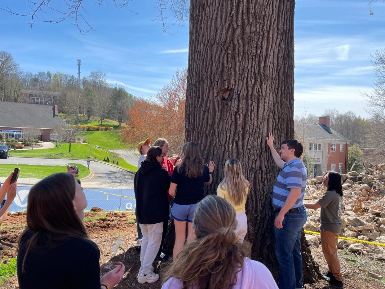 A number of Mars Hill University students gathered March 24 to celebrate and mourn the life of the Grandmother Oak, which, according to sources, is more than 120 years old. The tree will be removed as part of new construction on campus.