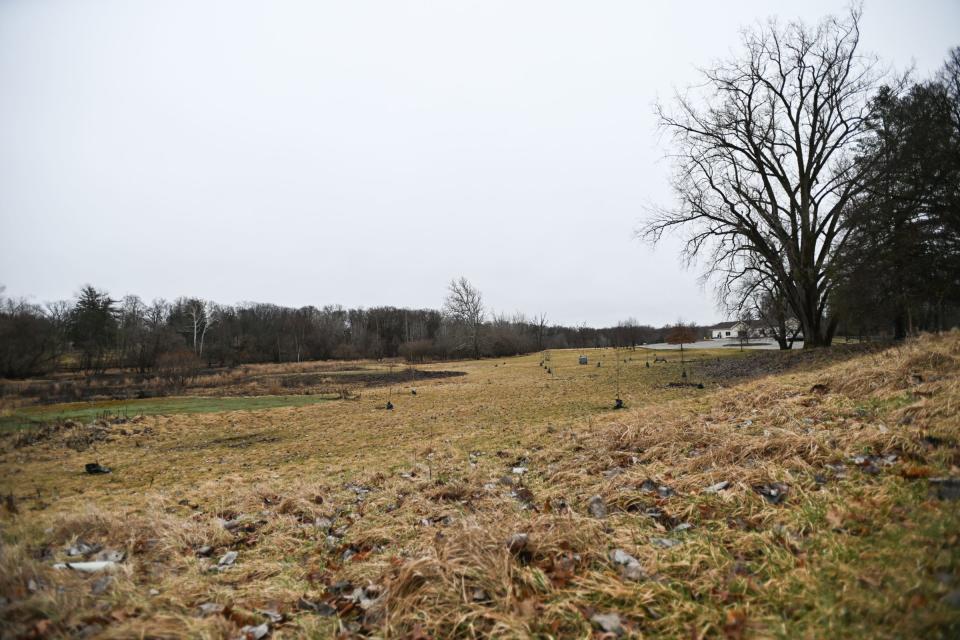 A wetland area near the entrance of Fenner Nature Preschool on Mount Hope Avenue in Lansing, pictured Tuesday, March 5, 2024.