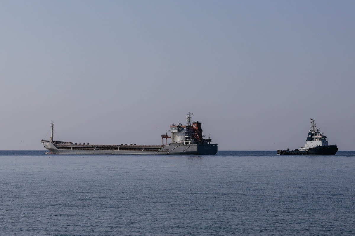 Representational: The 25-year-old man fell off the ship earlier this week (AFP via Getty Images)