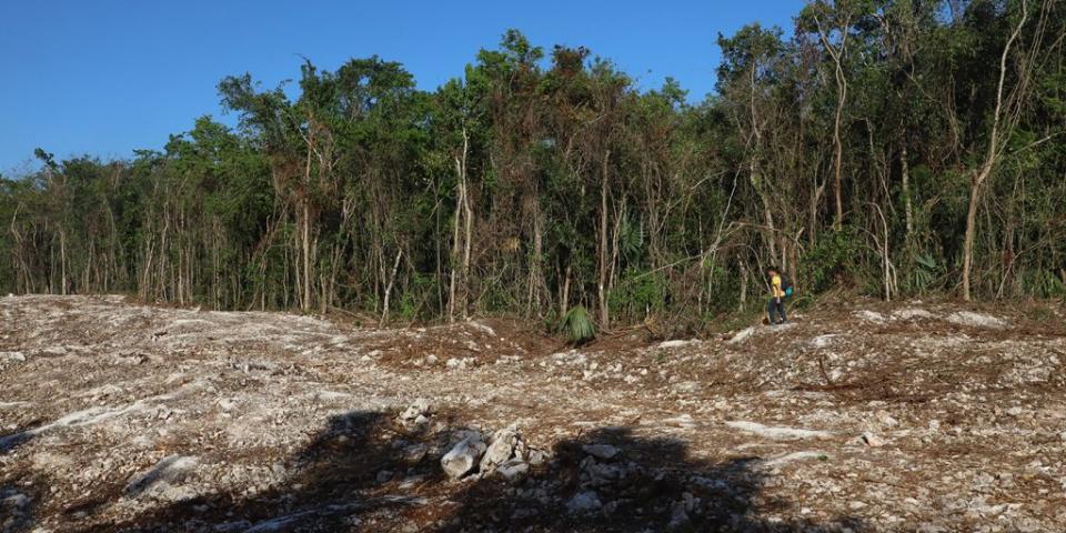 <span>El Juzgado 1 de Distrito en Yucatán otorgó la suspensión provisional de la construcción del Tramo 5 del Tren Maya (con trazo de Playa del Carmen a Tulum, Quintana Roo) por no contar con una autorización en materia de impacto ambiental. (Foto: Cuartoscuro)</span>