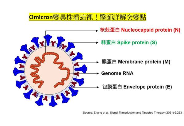 Omicron變異株突破點。（圖片提供／李建璋醫師）