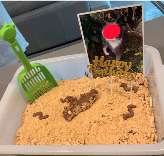 Cake fashioned into a kitty litter box with a photo of a cat, a plastic shovel and edible 'poo'