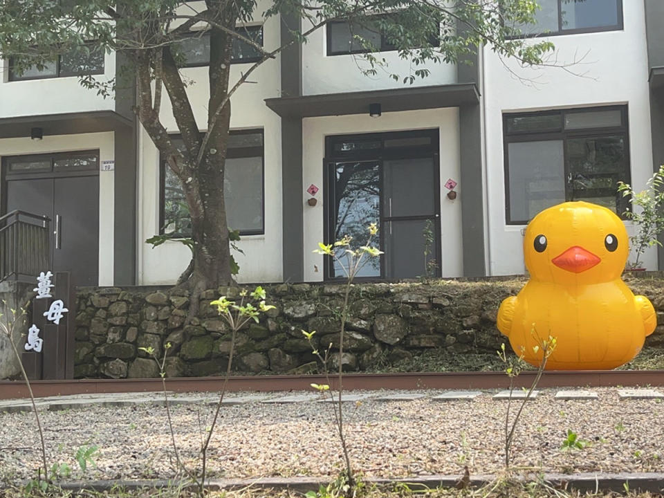 夢幻草原2隻黃色小鴨已移往薑母島，迎接登島的遊客。（圖：桃園市渡船遊艇公會提供）