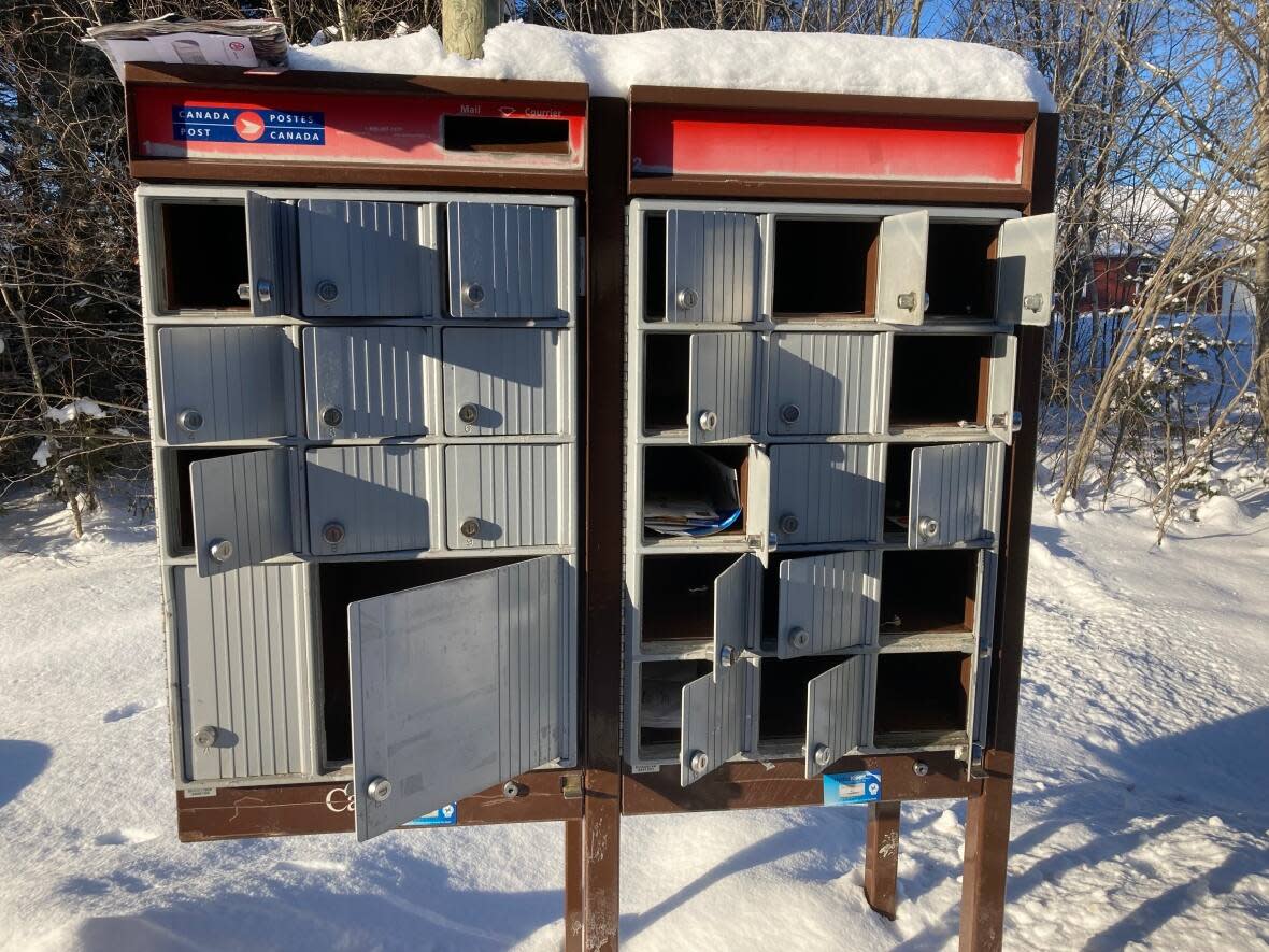 Community mailboxes in two greater Moncton neighbourhoods have been broken into in recent weeks. Pictured is one of three vandalized boxes on Rural Estates Drive in Moncton's north end. (Mariam Mesbah/CBC - image credit)