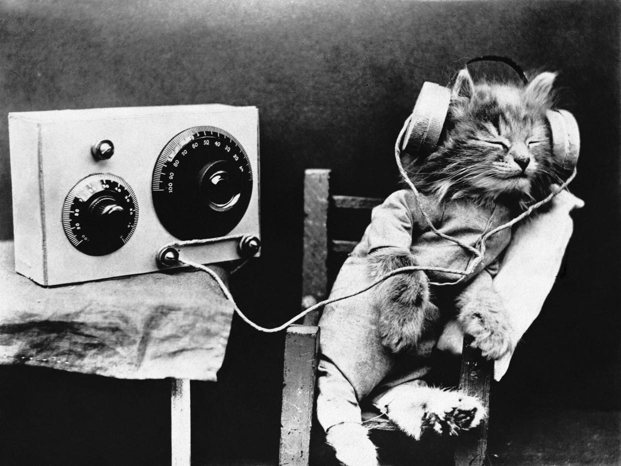 Tibby the cat listens to the radio in the 1920s.