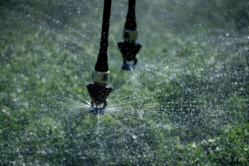 Alfalfa is irrigated on May 18, 2022, in a Leimgruber Farms field east of Holtville, California. Automated sprinklers help reduce water consumption while increasing production, but at considerable cost.