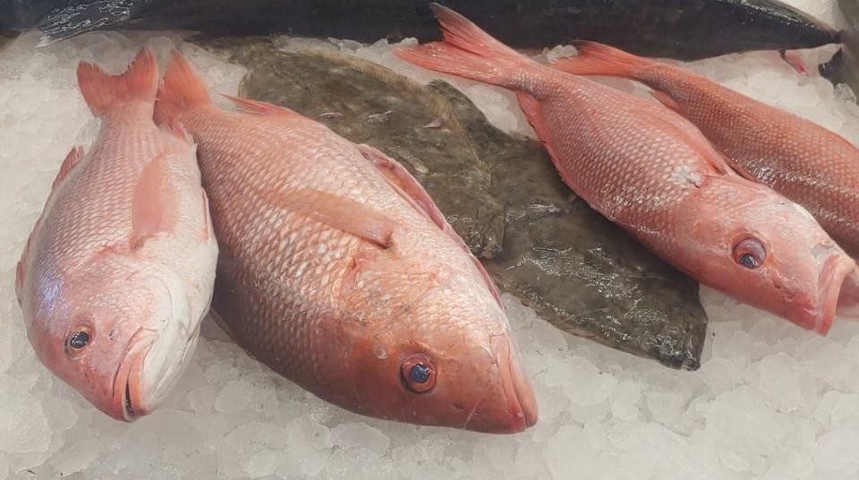 Red snapper on the ice at King's Seafood at Rose Bay, with a pair of flounder in between.