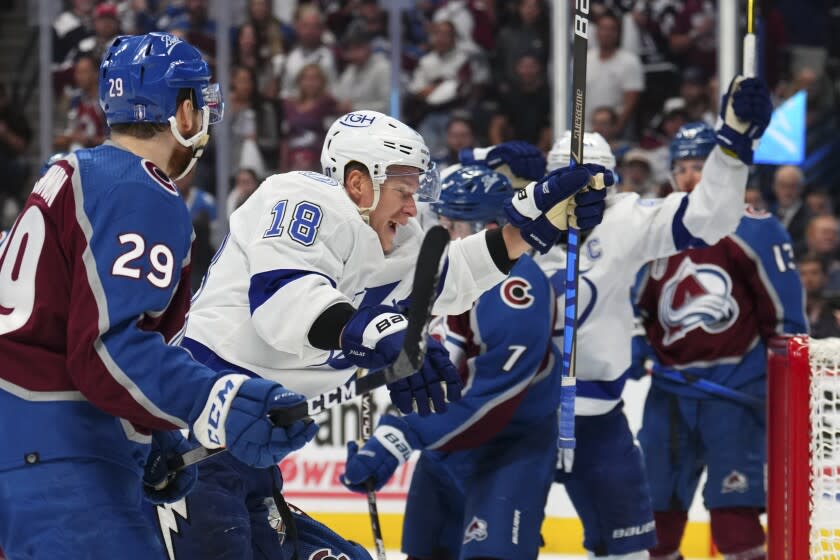 Tampa Bay Lightning left wing Ondrej Palat (18) celebrates a goal against the Colorado Avalanche.