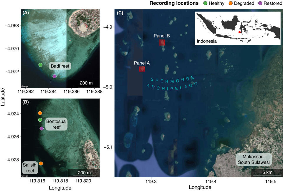 Locations of recording sites (healthy, degraded and restored) at (A) Badi reef and (B) Bontosua and Salisih reefs; and (C) the location of the study site within Indonesia. / Credit: The sound of recovery: Coral reef restoration success is detectable in the soundscape