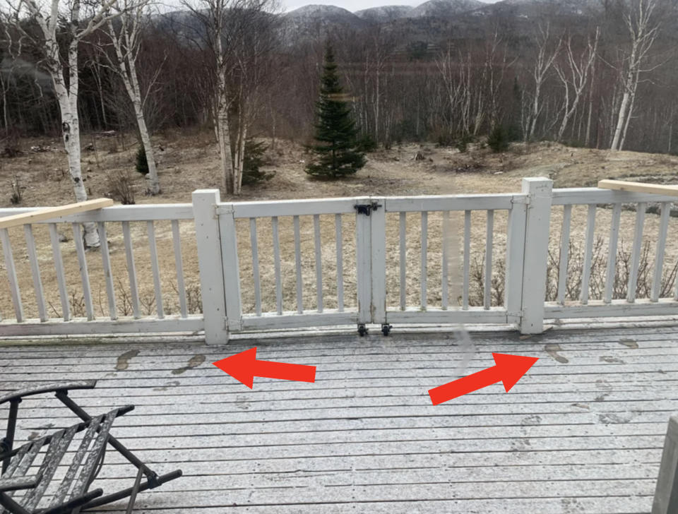 Footprints on the edge of a patio