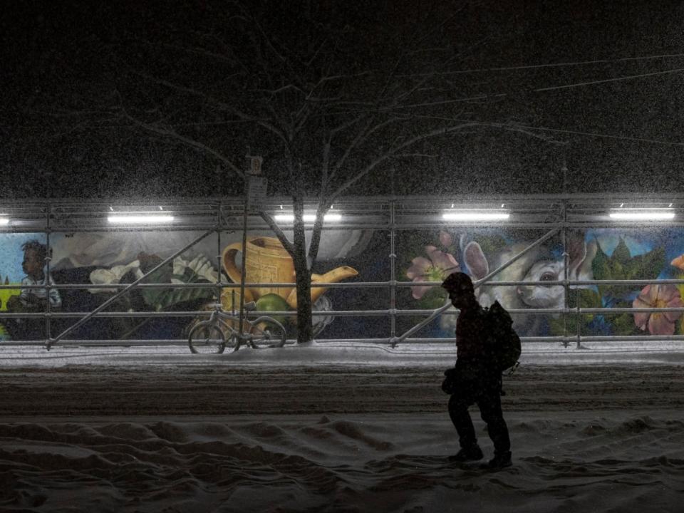 A person walks through a snowstorm in Toronto at night during a snowstorm in January. Prolonged exposure to darkness during the winter can negatively affect mental health.  (Evan Mitsui/CBC - image credit)