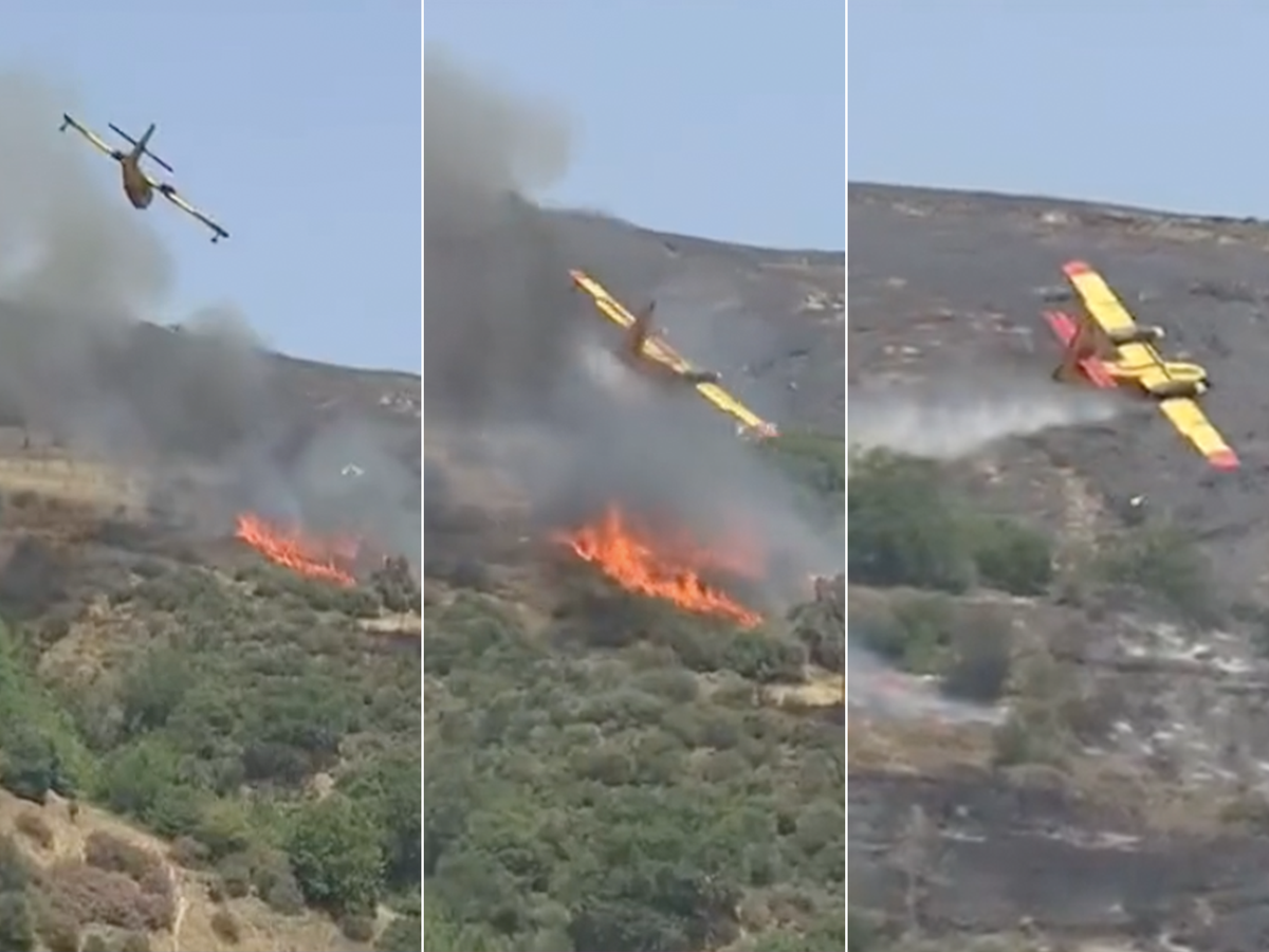 The plane crashed after offloading water on a wildfire on Evia (EPT/Twitter)