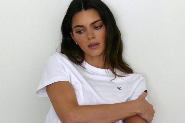 Kendall Jenner Strips Down to Her Underwear for Selfie: See the Pic!